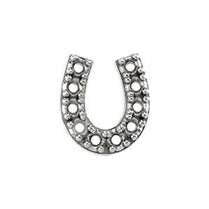Designer Accent Trim Plate