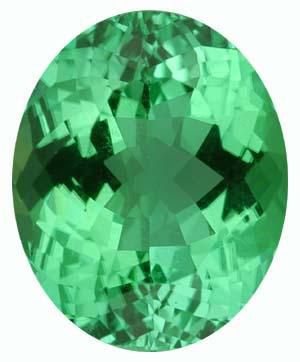 Oval Genuine Green Paraiba Tourmaline (Black Box)