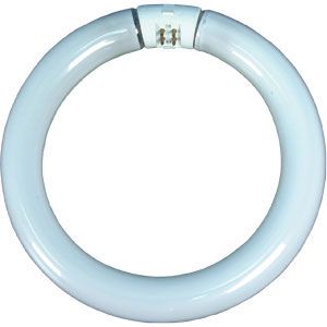Circline Magnifier Replacement Bulb