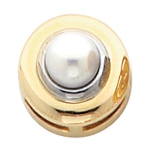Chain Slide Mounting for Pearl Center