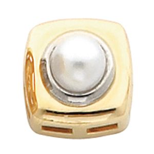 Chain Slide Mounting for Pearl Center