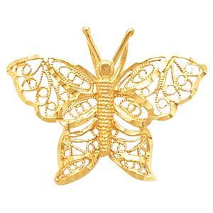 Butterfly Slide