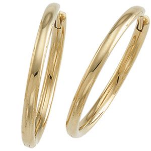 Gold Fashion Hinged Earrings