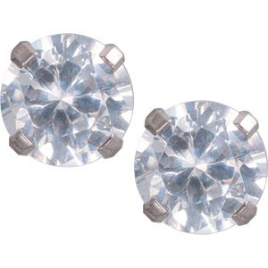 Titanium Round CZ 6mm Earrings Pair