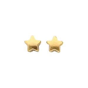 Titanium Star Earring Pair