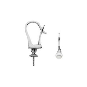 Click-In Lever Back Dangle Earring