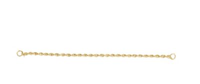 Guard Chain/Safety Chain