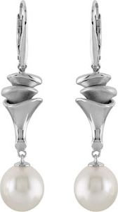 Dangle Lever Back Earrings