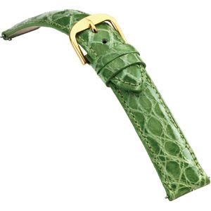 22mm Ladies Regular EZ-Change Padded Genuine Crocodile Apple Green Watch Strap
