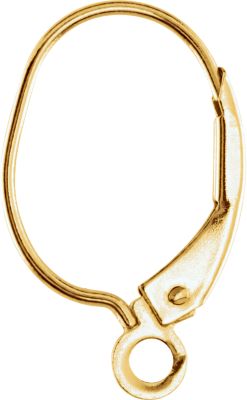 Lever Back Earring with Ring