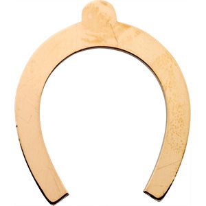 Horseshoe Stamping