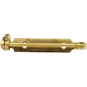Pin Back