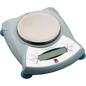 Scout Pro&trade; Series SC2020 Scale