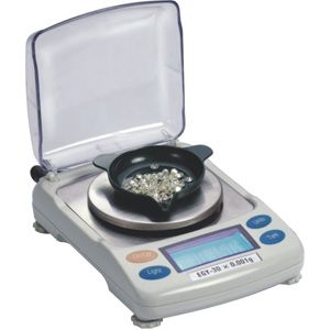 Carat & Gram Scale 