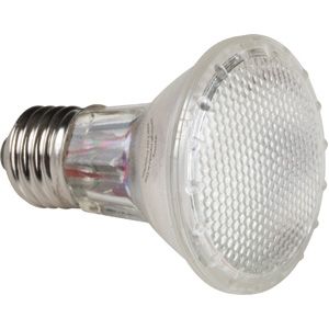 HD Curing Light Bulb 110V (Pair)