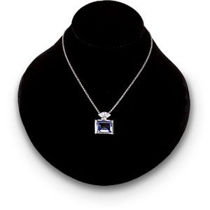 Black Velvet Necklace Bust