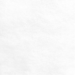 White Gift Wrap Tissue Economy Pack