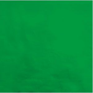 Green Foil Gift Wrap - 24