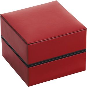 Reveal Collection Bangle/Watch Box