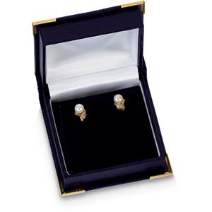 Blue Lizard Grain Flap Earring Box