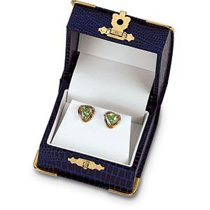 Blue Iguana Small Flap Earring Box