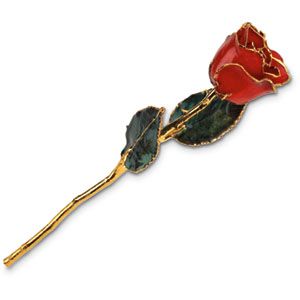 Lacquered Red Rose With Gold Trim