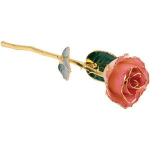 Lacquered Cream Rose With Gold Trim