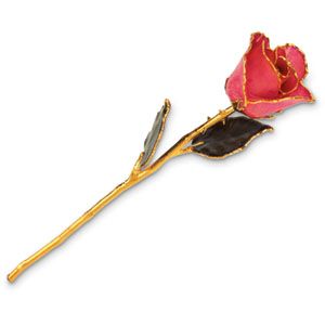 Lacquered Pink Rose With Gold Trim