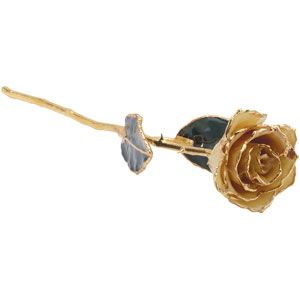 Laquered White Rose With Gold Trim