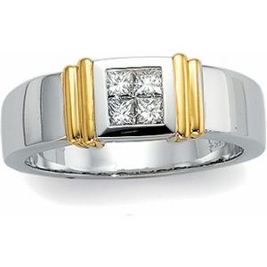 1/2 ct tw Invisible Set Diamond Duo Band