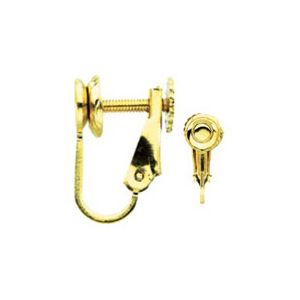 Hinged Screw Back