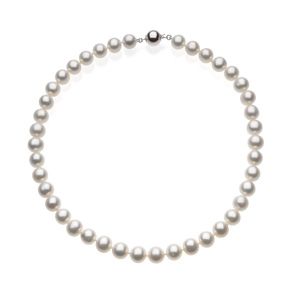 Freshwater White Cultured Pearl Necklace or Bracelet