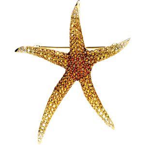 Multicolor Gemstone Starfish Brooch/Pendant
