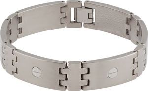 Titanium Link Bracelet with Screws
