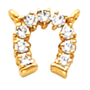 Horseshoe Necklace Center Mounting