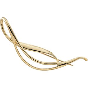 Fashion Brooch