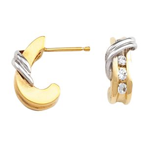 J-Hoop Earring Mounting 