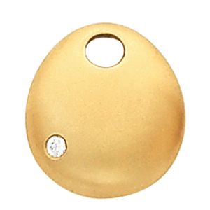 Pendant Mounting