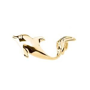 Dolphin Chain Slide