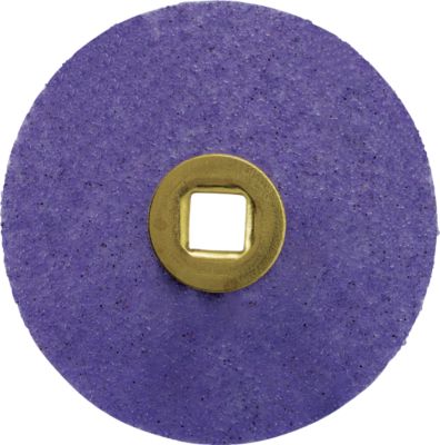 Coarse Moore's Plastic Snap on Sanding Disc 7/8"