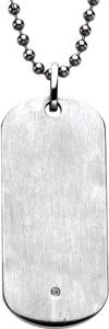 Stainless Steel Dog Tag on a 24