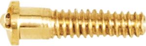 Threaded Screw for Coin Frame