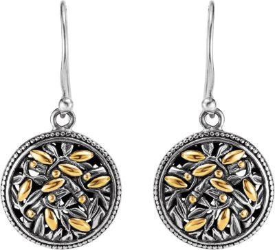 Two-Tone Fashion Dangle Earrings