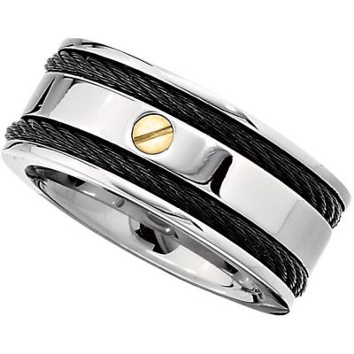 Titanium & 14kt Yellow Band with Black Immerse Plate