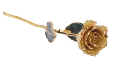 12 Inch Lacquered White Rose With Gold Trim