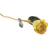 12 Inch Lacquered Yellow Rose With Gold Trim
