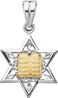 Two Tone Star of David Pendant 19.92 x 14.90mm