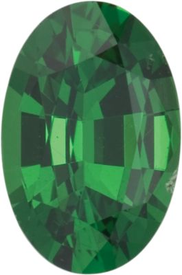 Garnet Oval 0.20 carat Green Photo