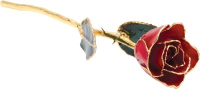 12 inch Lacquered Red Rose with Gold Trim Ref 109482